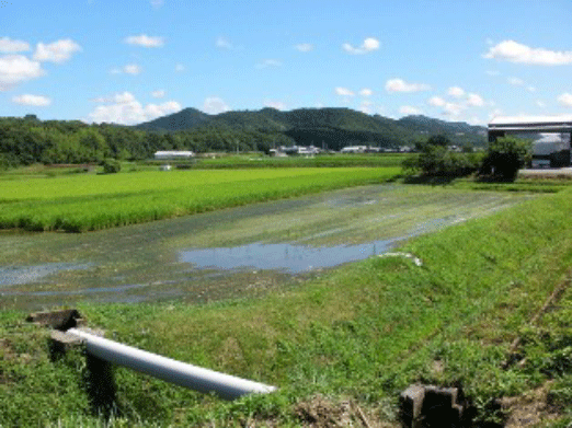 いくさ野かなし池の写真1