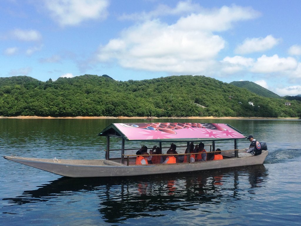 東条湖 遊覧船 鯉のぼり号 加東市観光協会 東条湖 遊覧船 鯉のぼり号 加東市観光協会