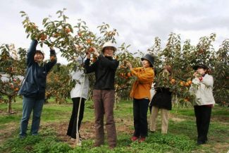 滝野農園