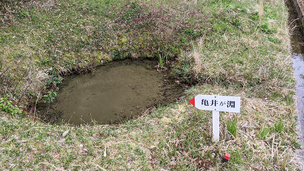 亀井が淵