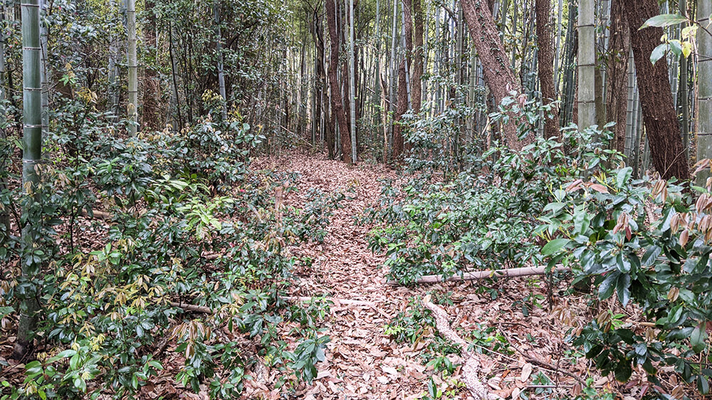 粉喰坂(小野市)