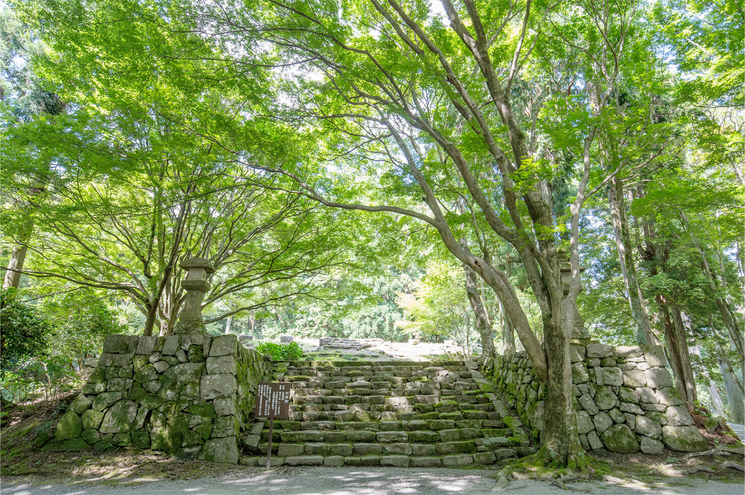 大塔跡（だいとうあと）写真