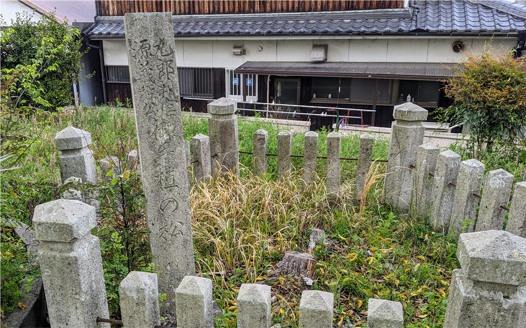 山氏神社（義経お手植えの松）写真1