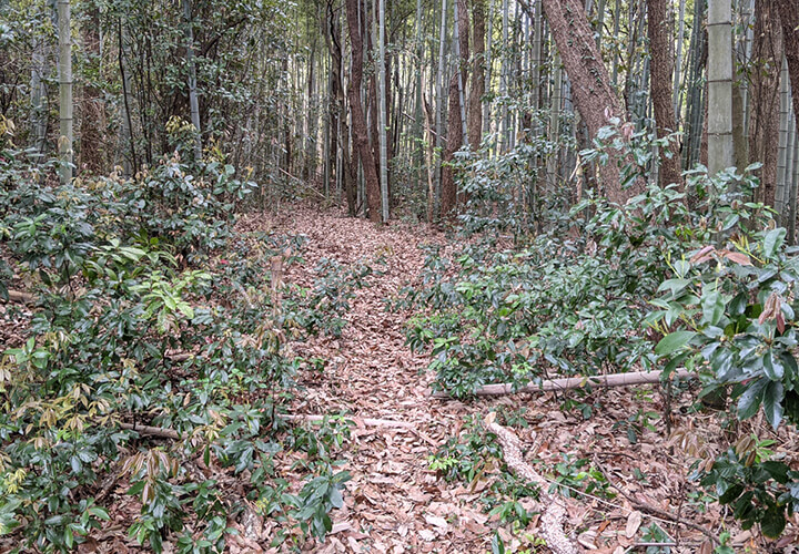 粉喰坂（こくいざか）写真1